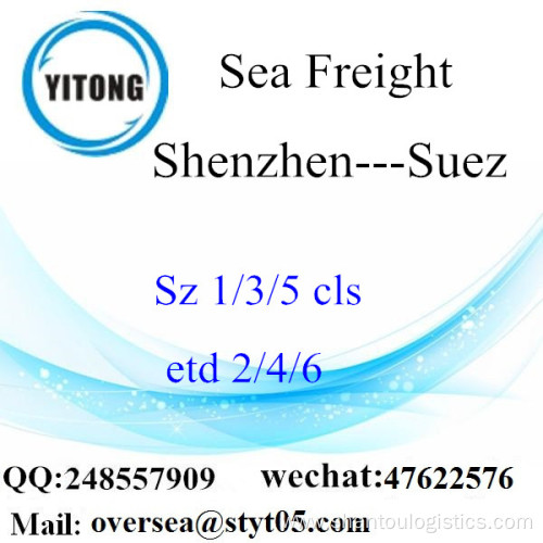 Shenzhen Port LCL Consolidation To Suez